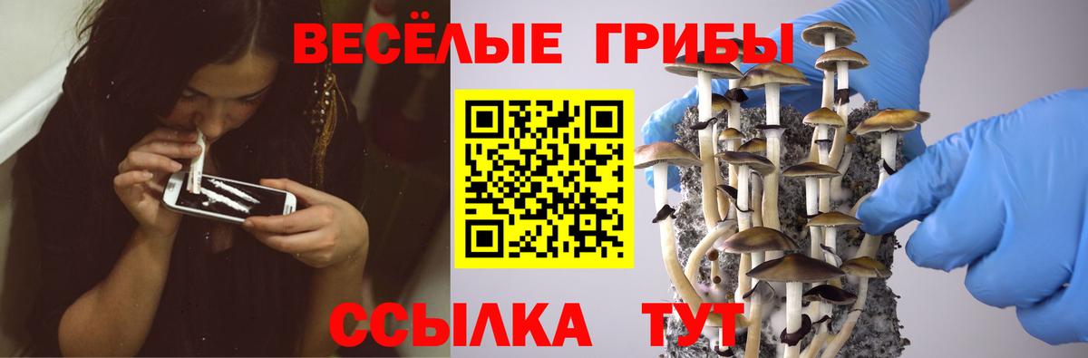 Галлюциногенные грибы Magic Shrooms  Вход с VPN  Лангепас  Галлюциногенные грибы ЛСД 